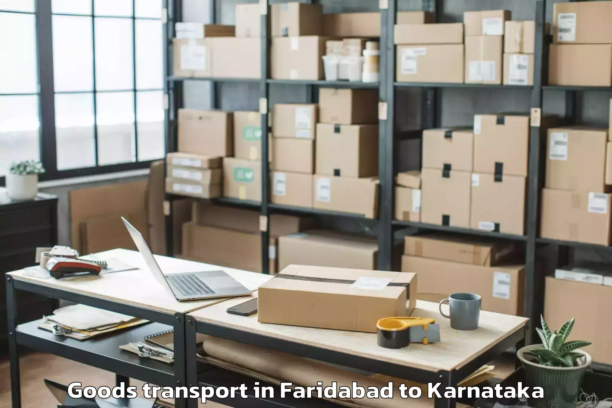 Trusted Faridabad to Abhilashi University Bangalore Goods Transport